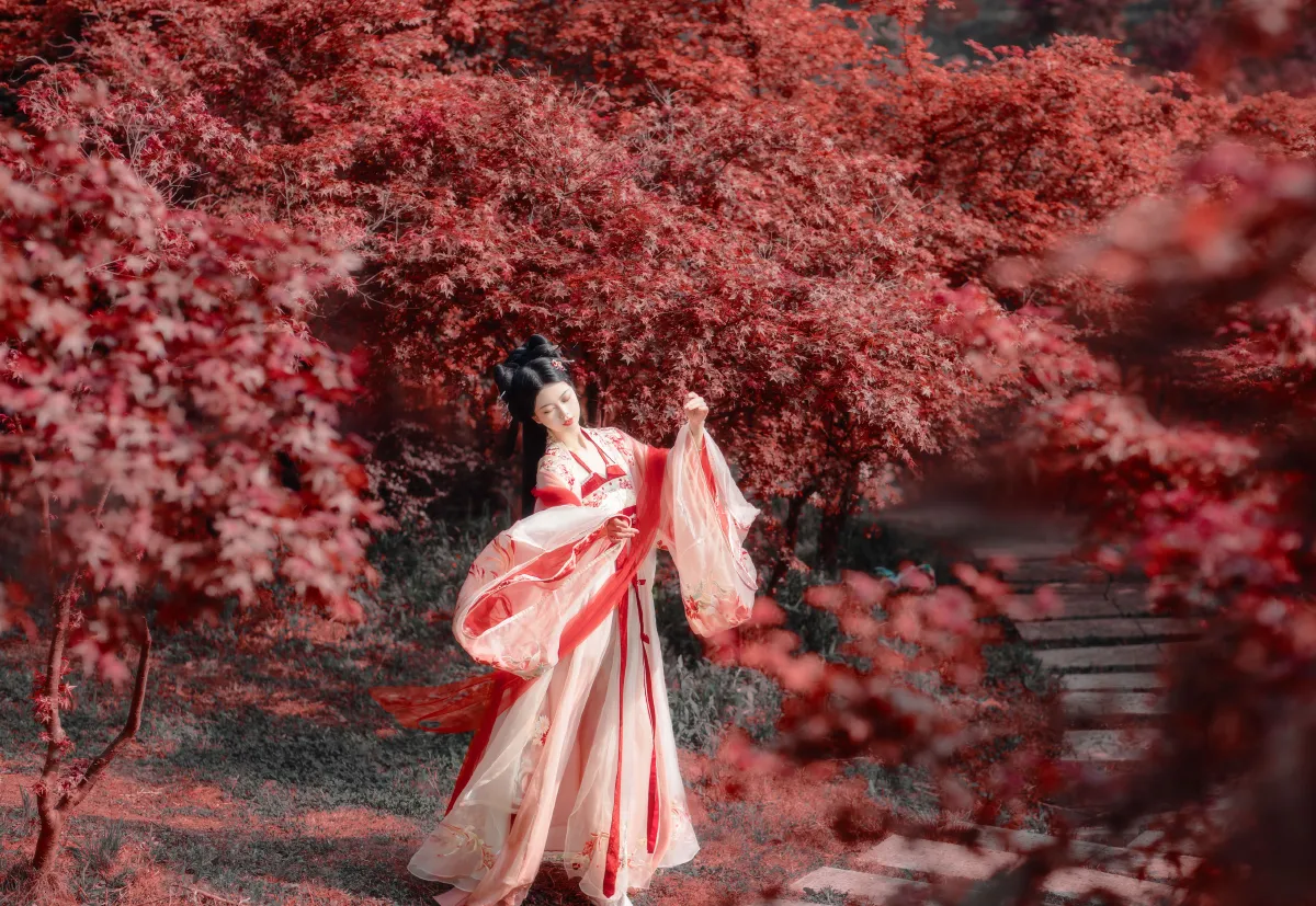 小狐狸