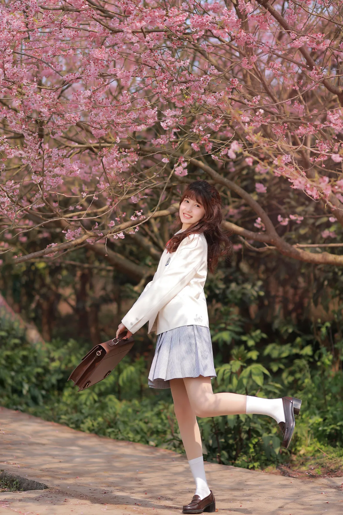 樱花3