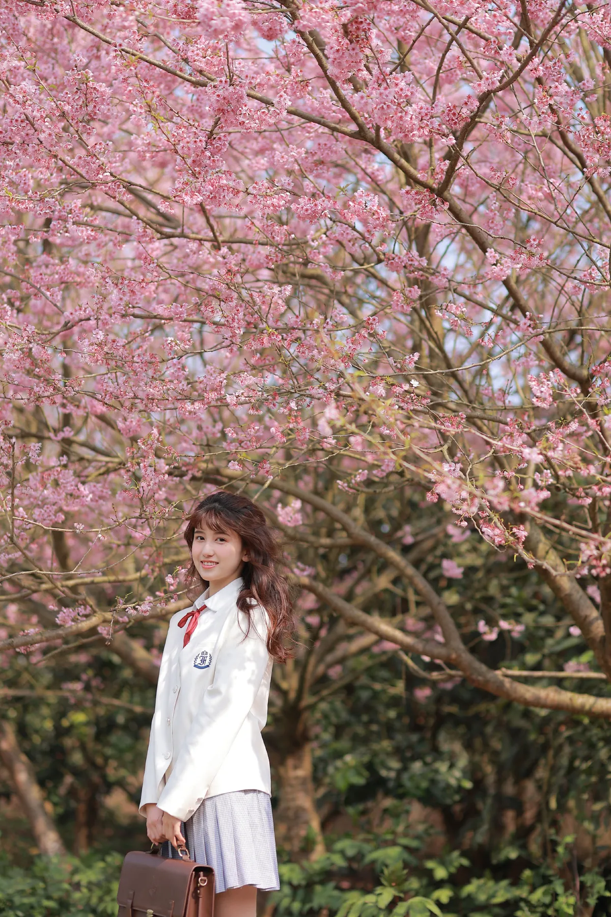 樱花