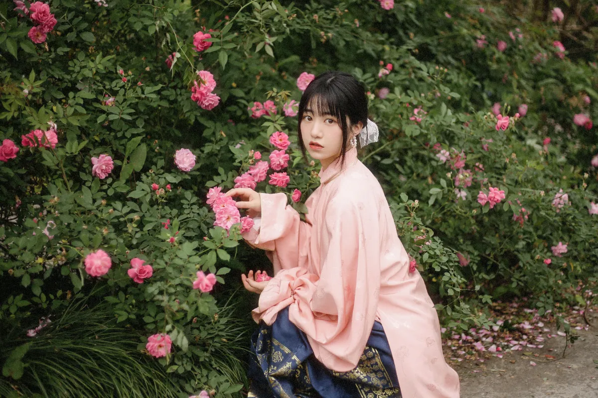 蔷薇花开