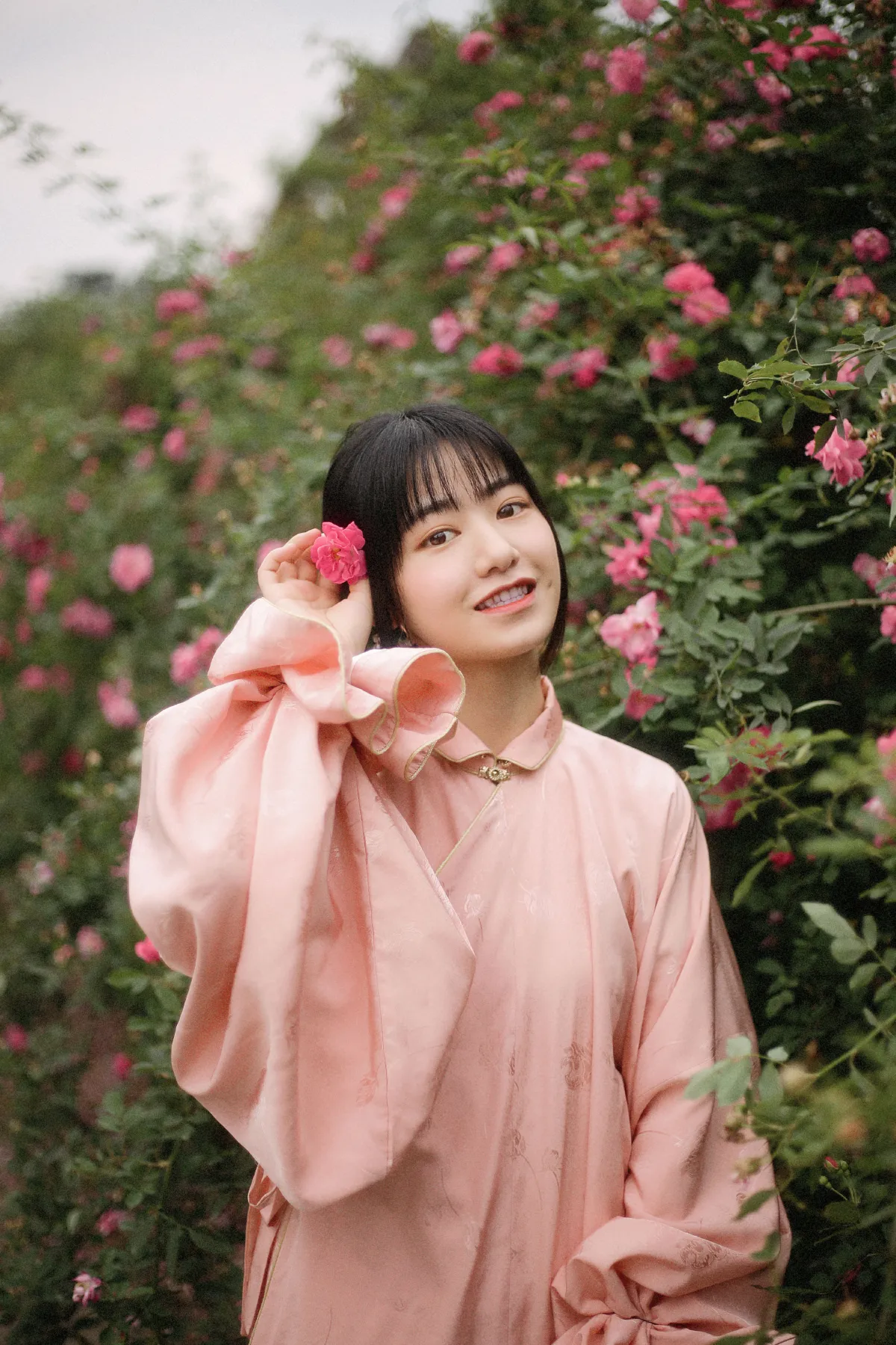 蔷薇花开