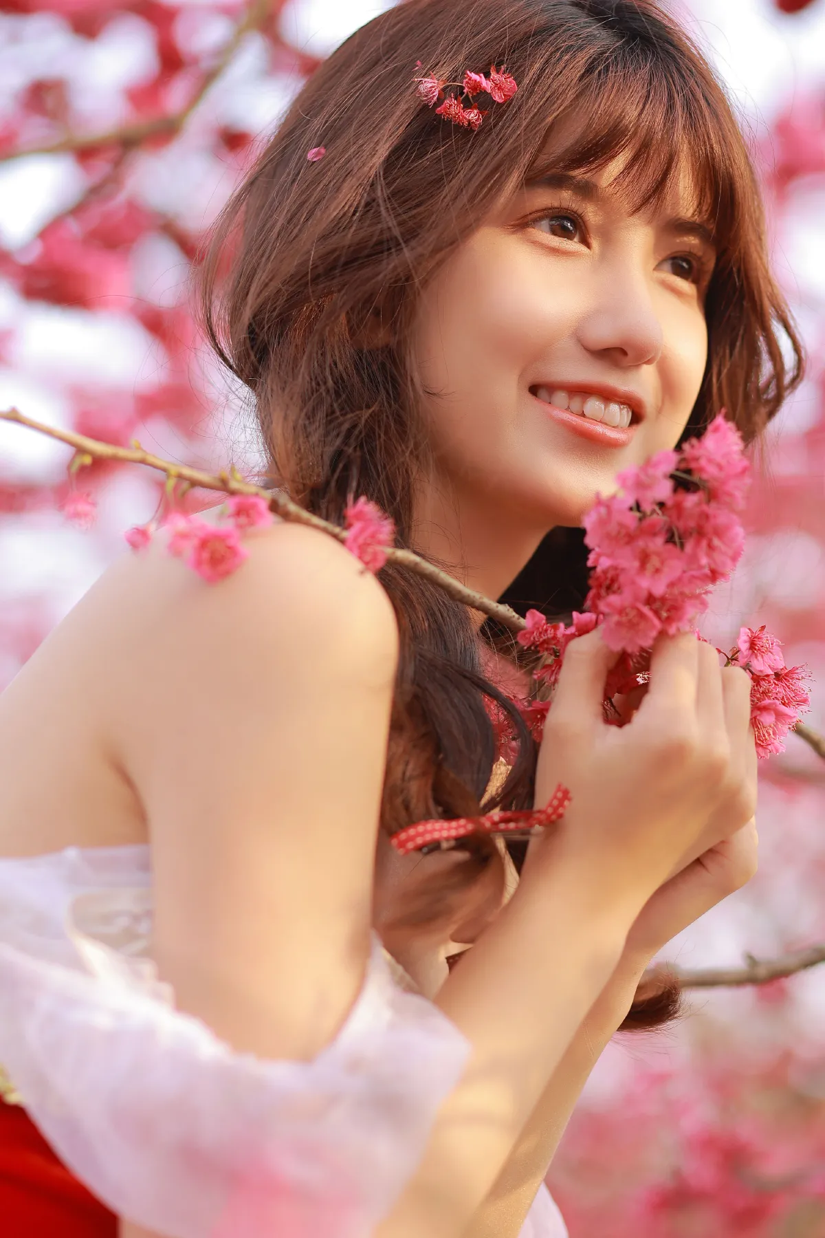 春日浪漫3