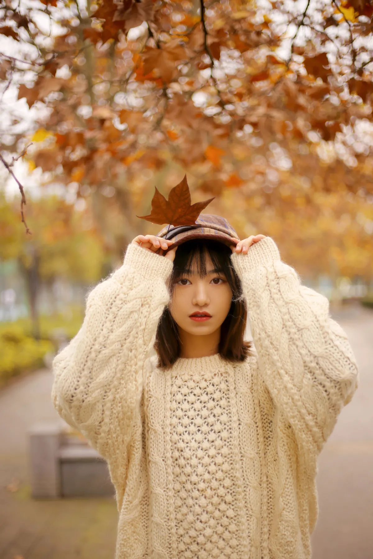 枫叶