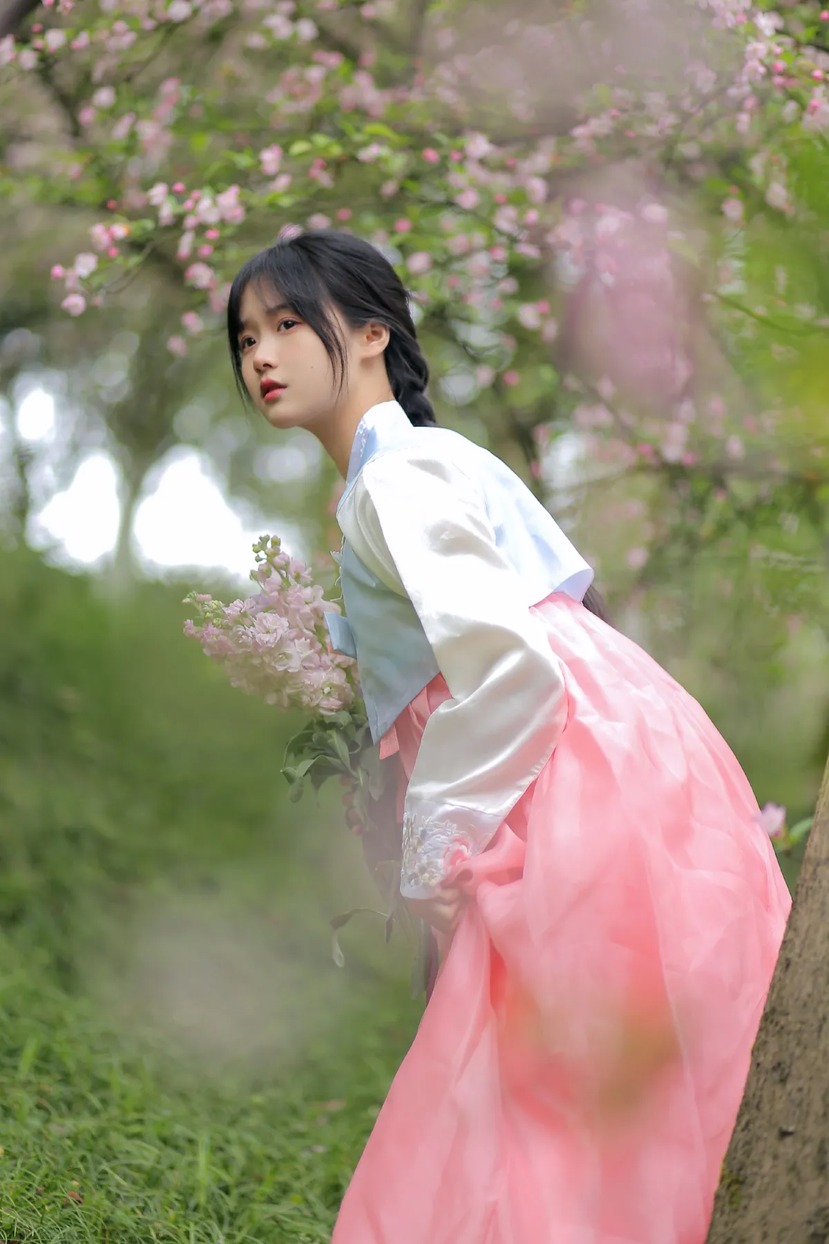 春日海棠