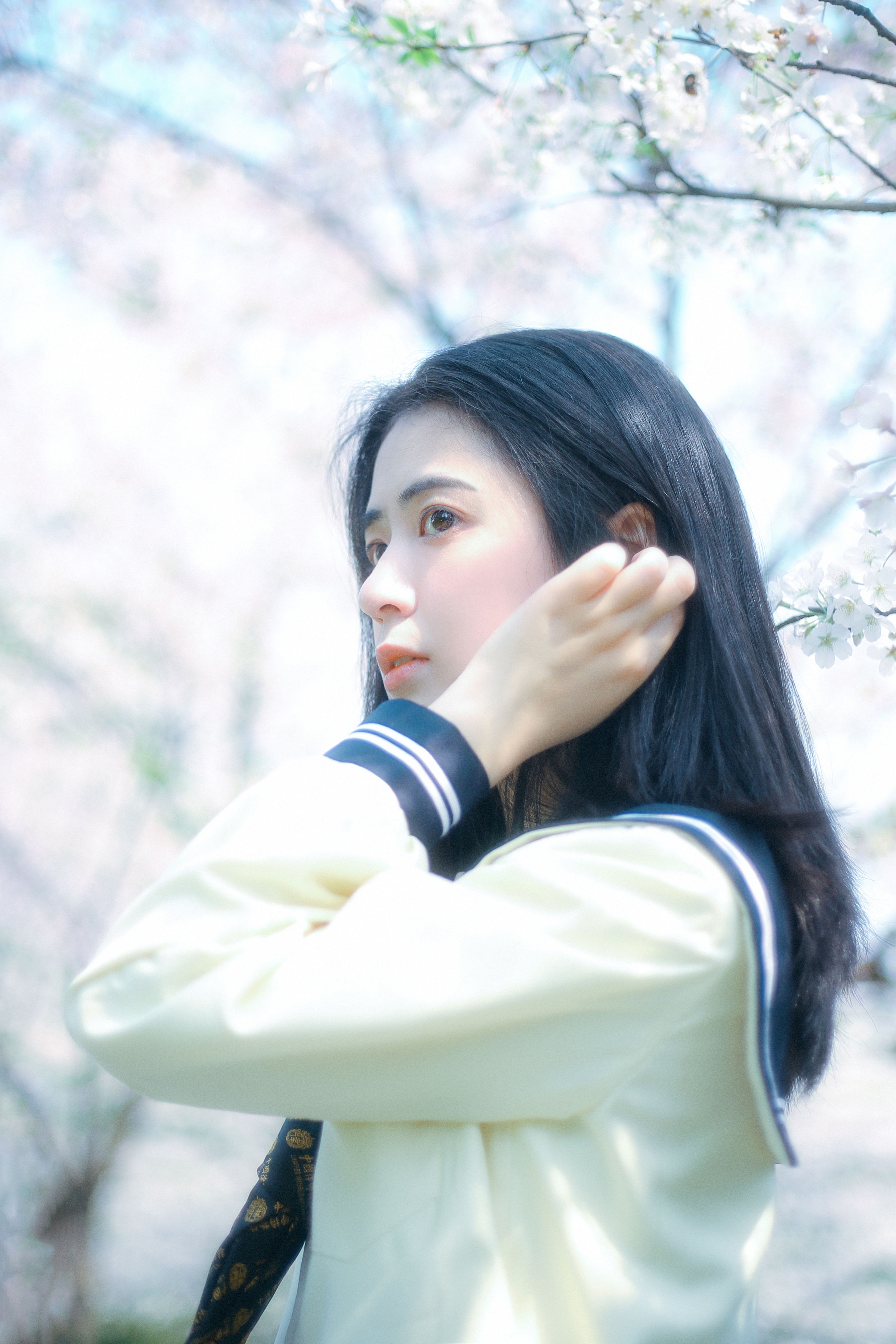 春日早樱