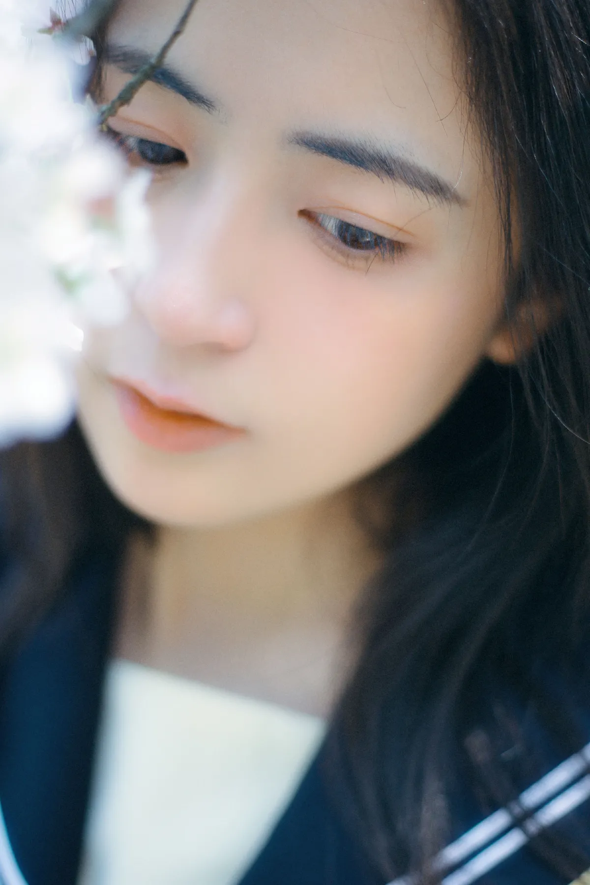 春日早樱2