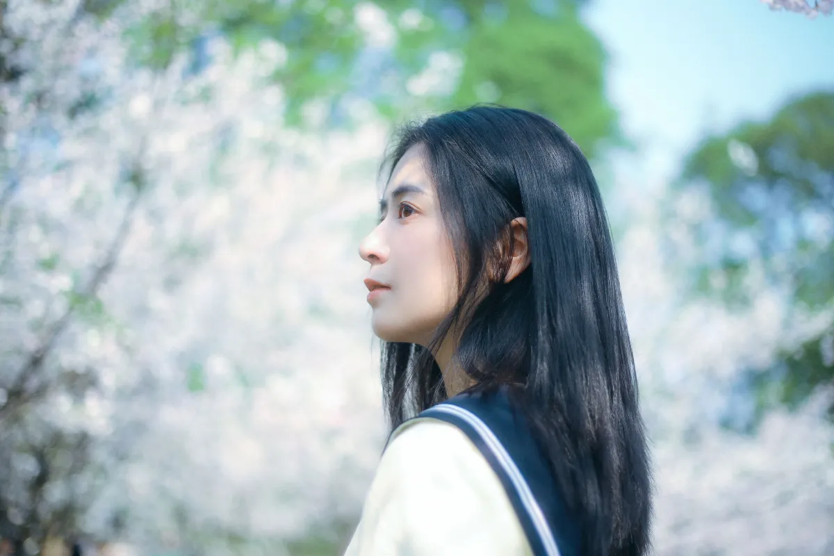 春日早樱3