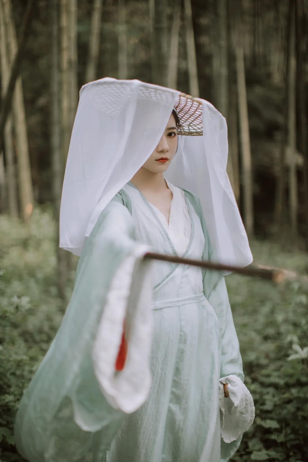 竹影1