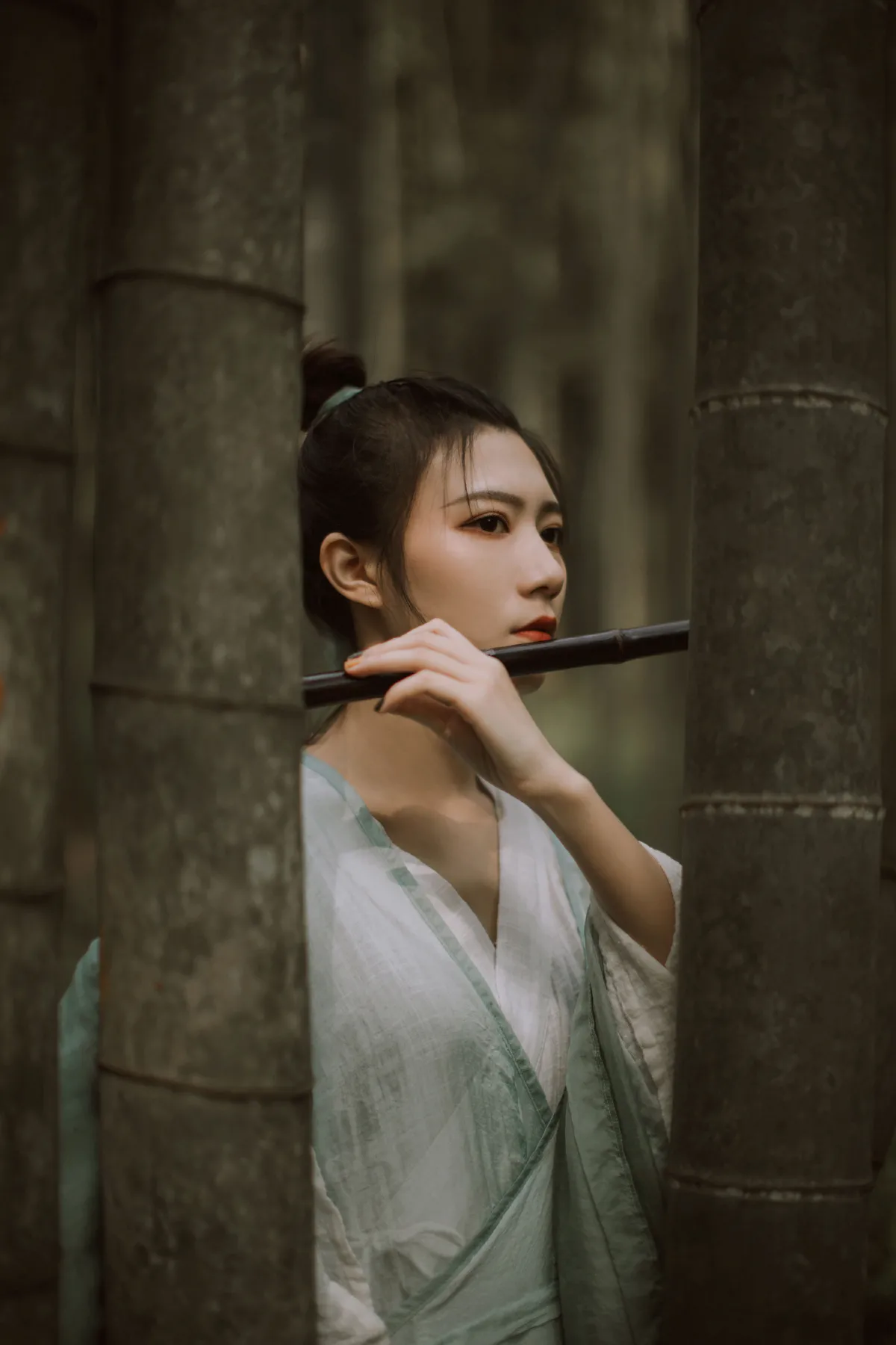 竹影