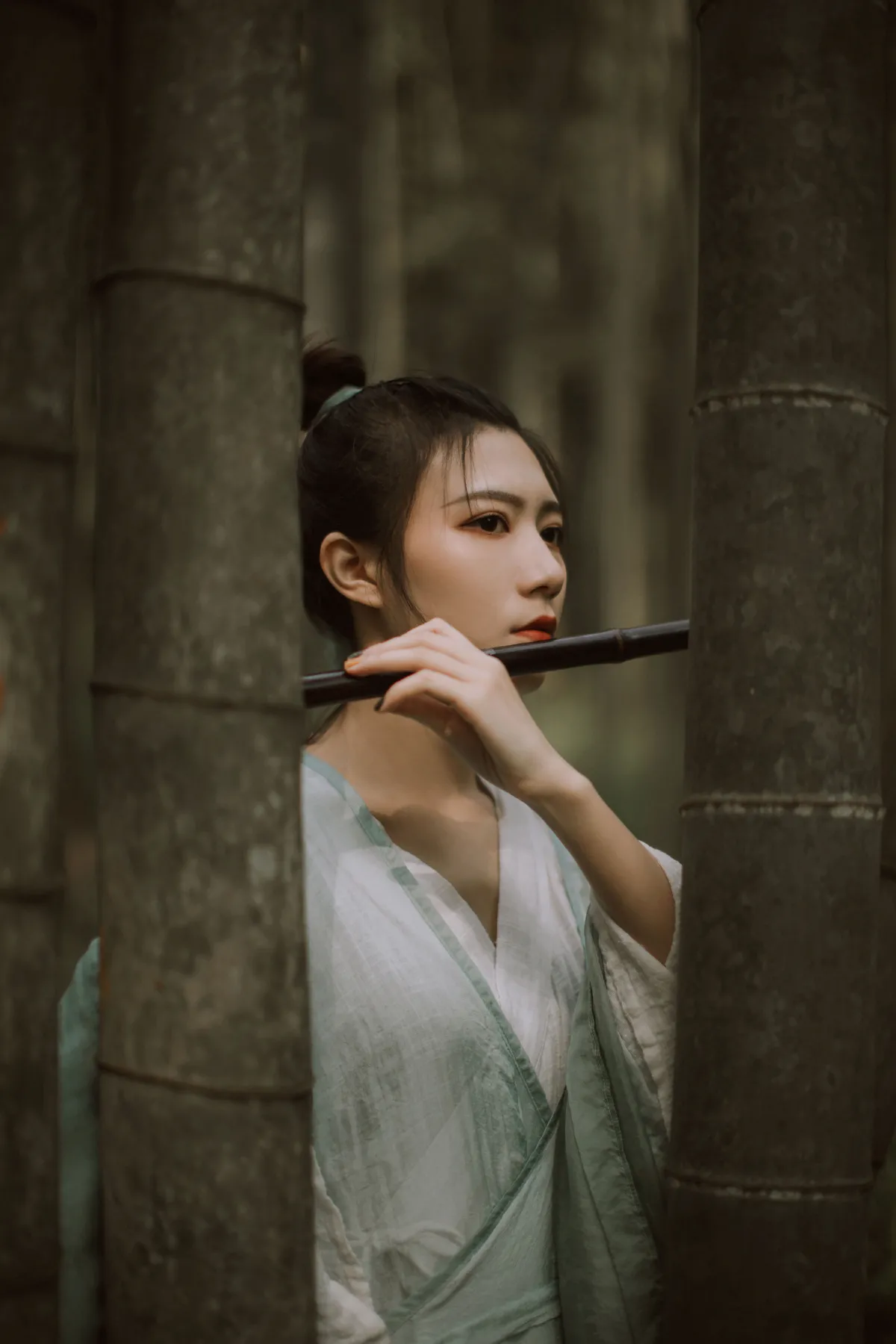 竹影2