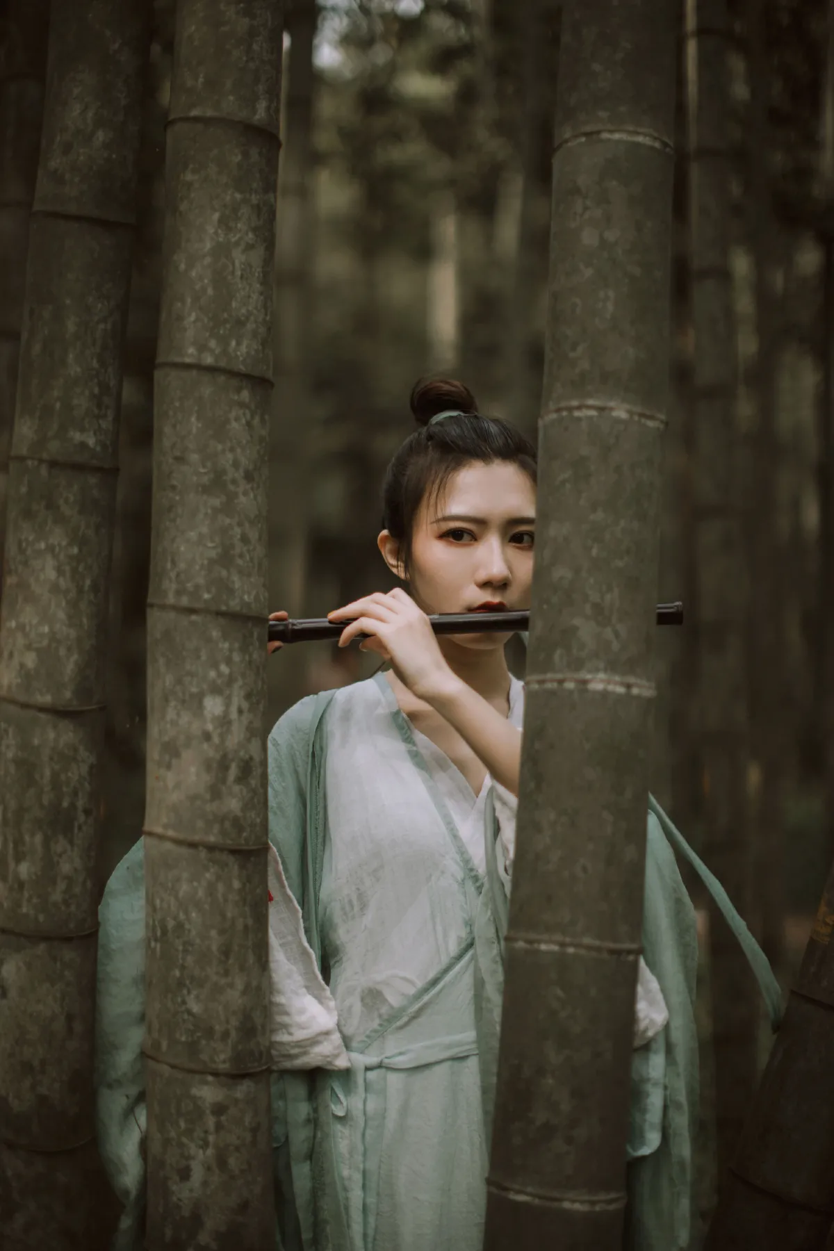竹影