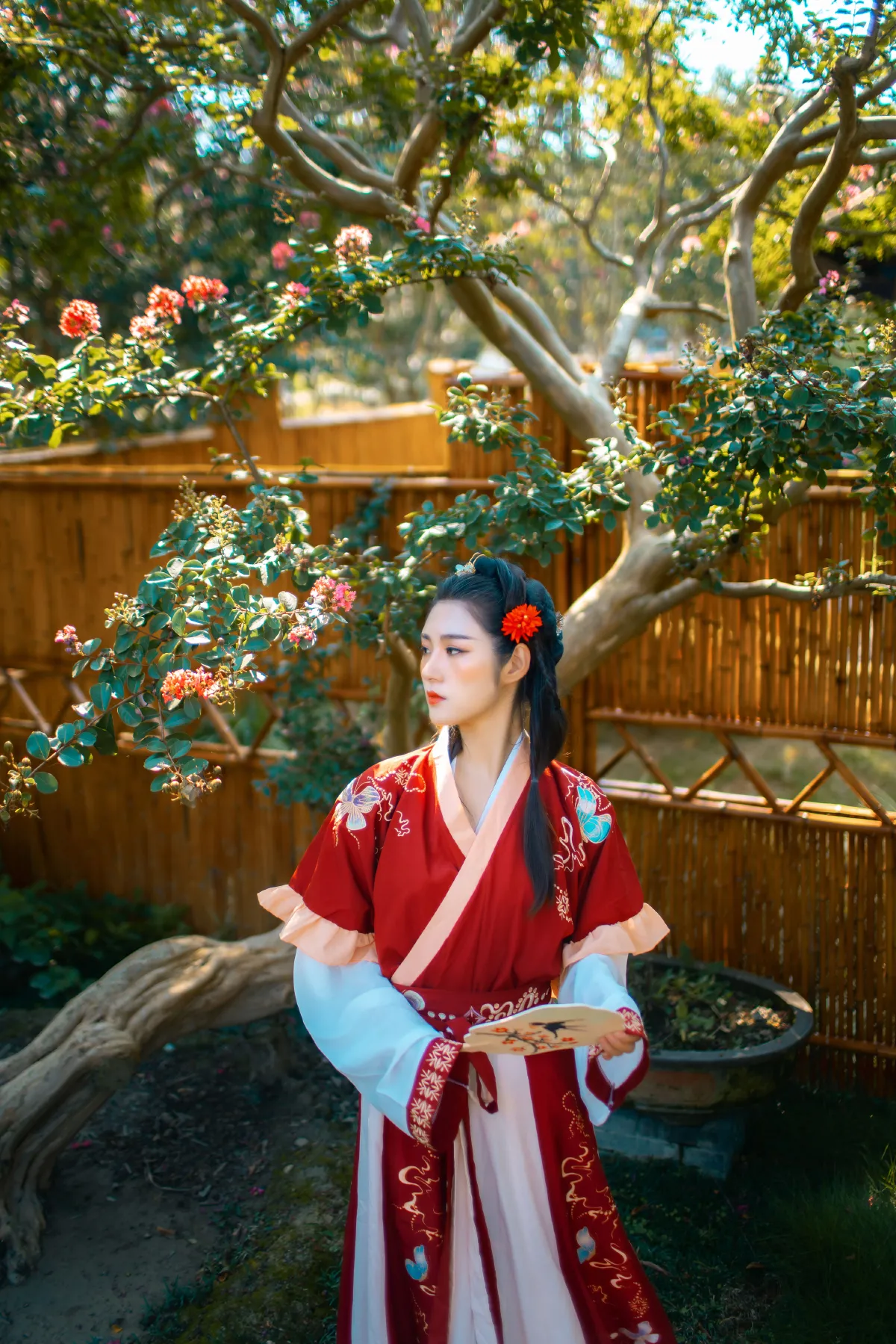 醉花阴2