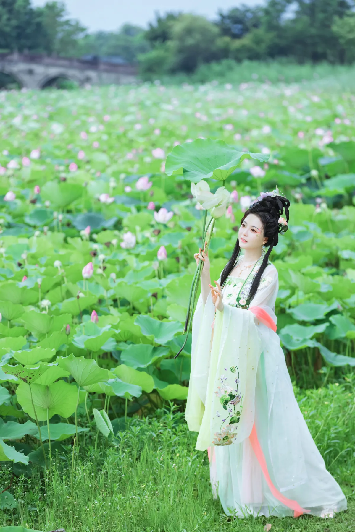 采莲曲