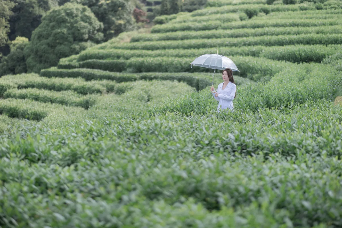 若寒Rock_小美《茶岚》美图作品图片3