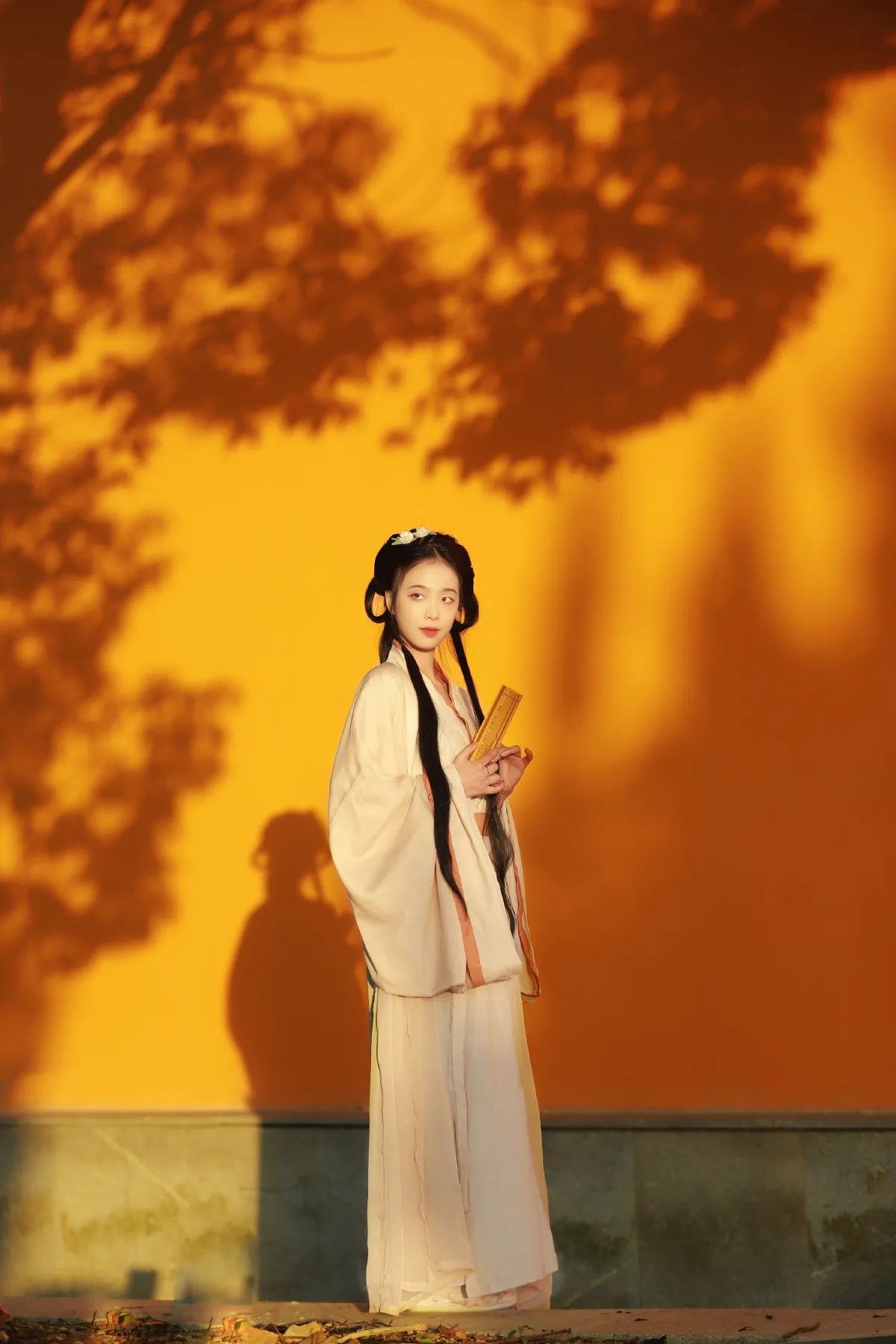 愿得一人心2