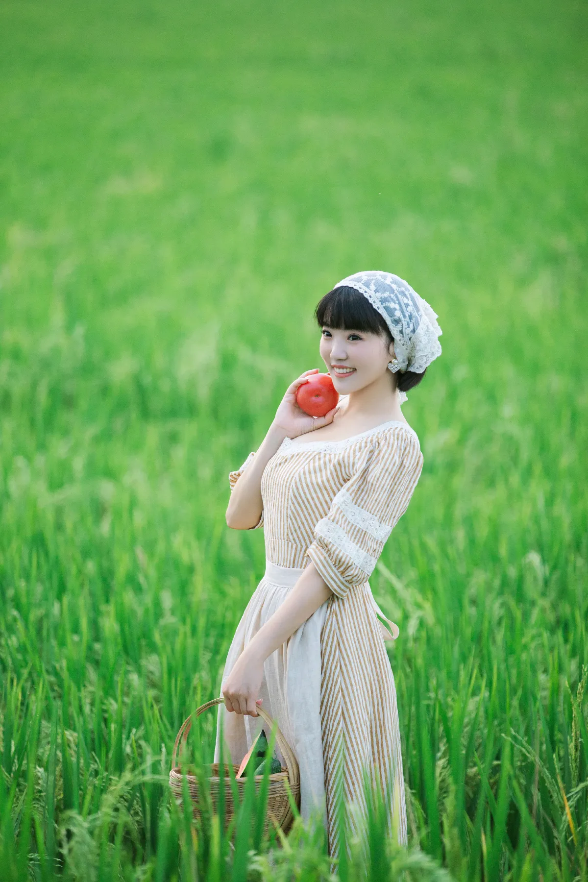 夏日稻田1