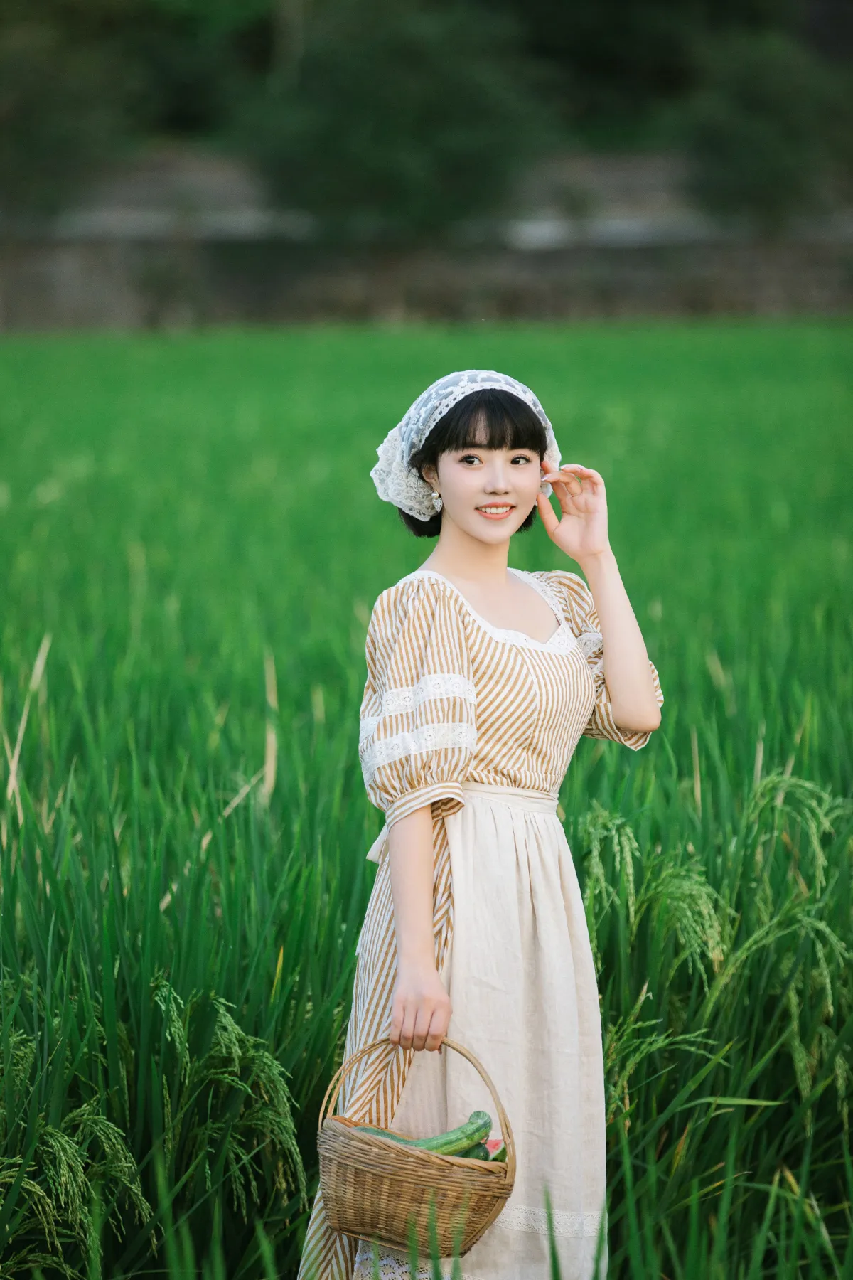 夏日稻田