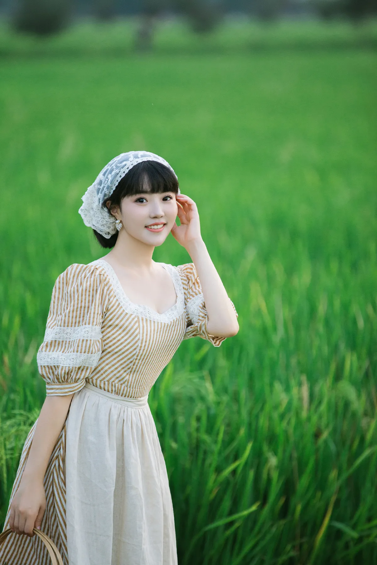 夏日稻田2
