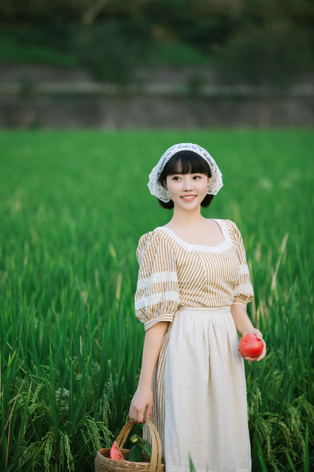 夏日稻田
