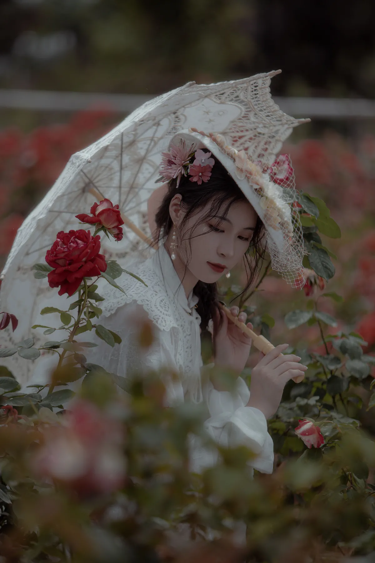 玫瑰3