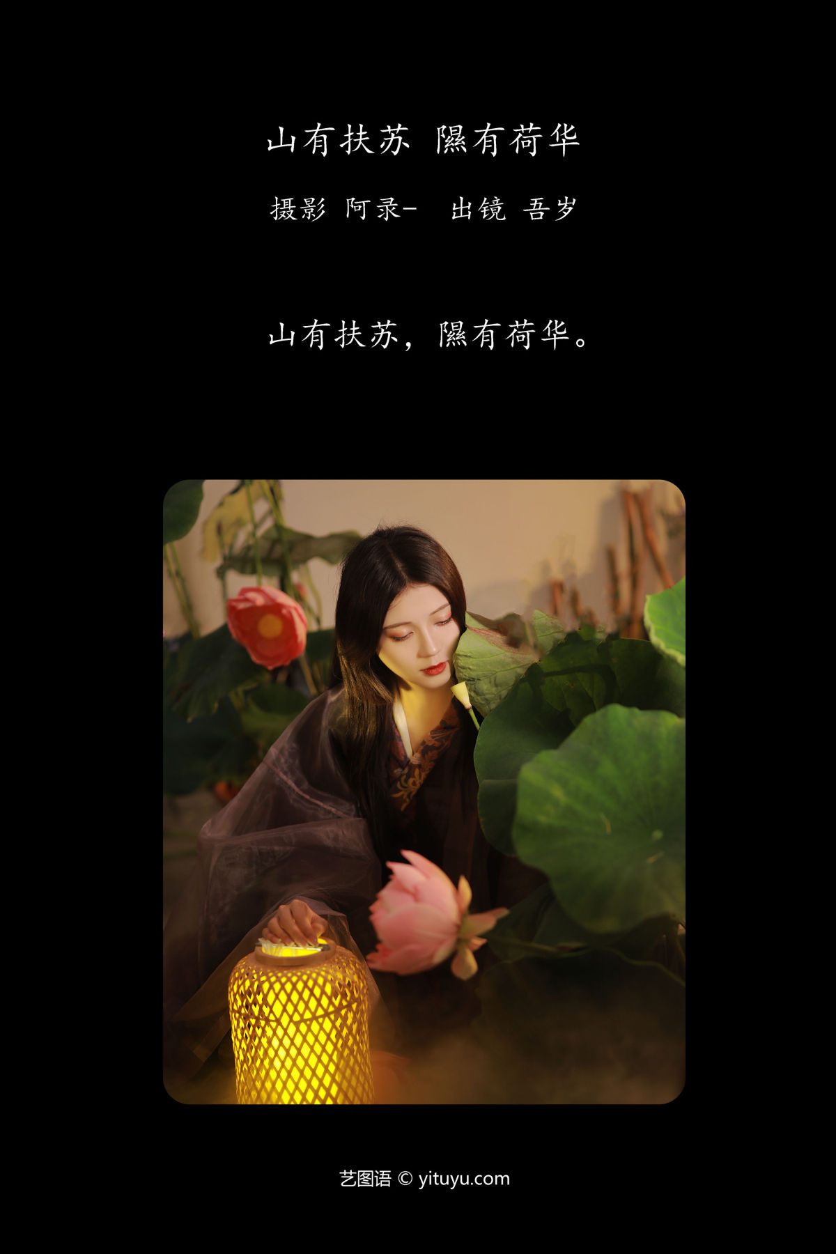 阿录-_吾岁岁《山有扶苏，隰有荷华》美图作品图片2