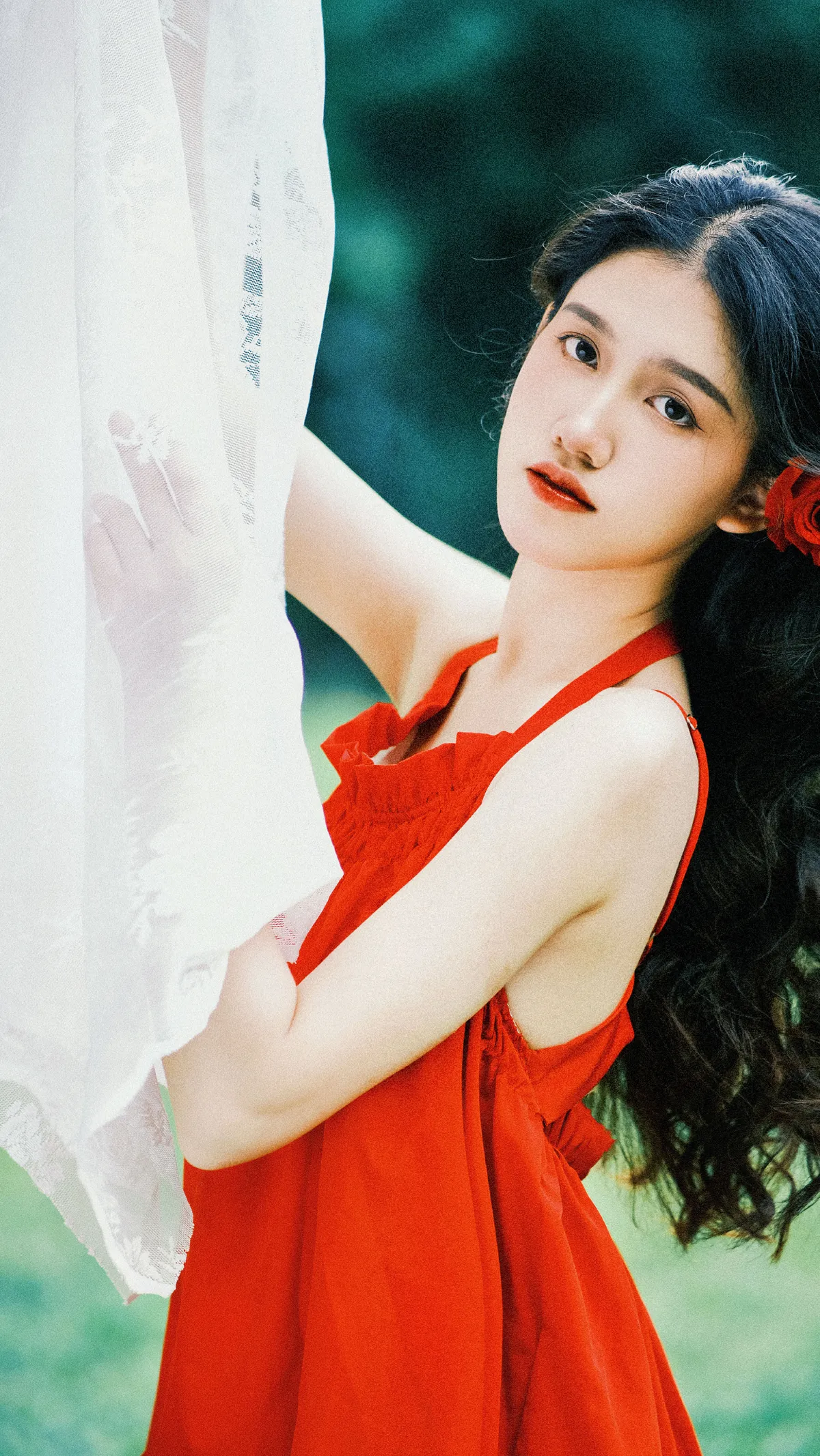红玫瑰1