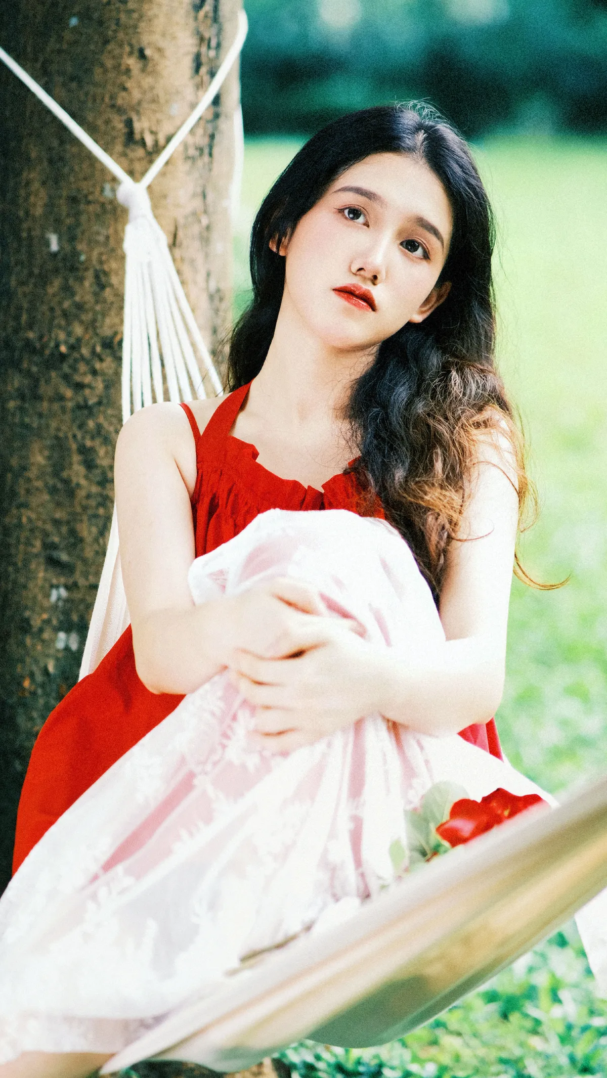 红玫瑰2