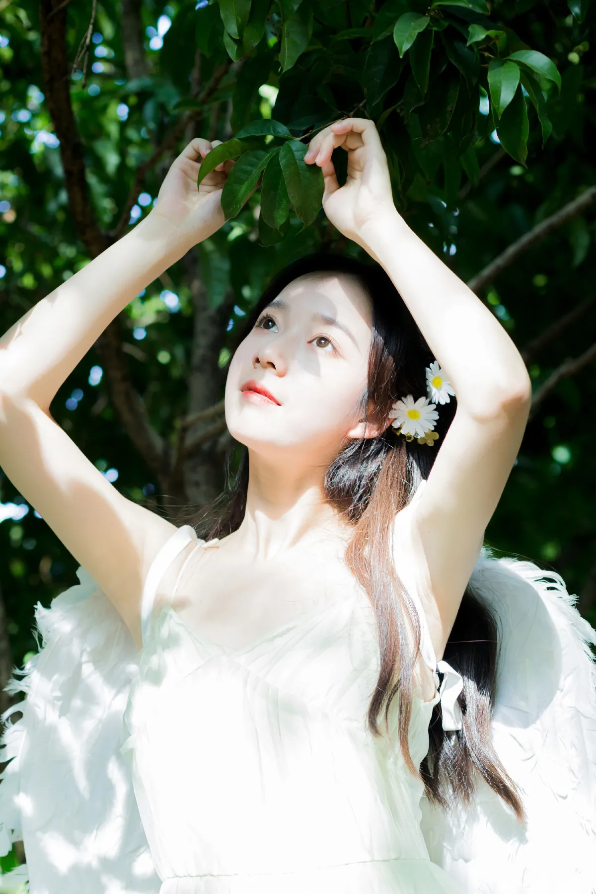 夏末的精灵1