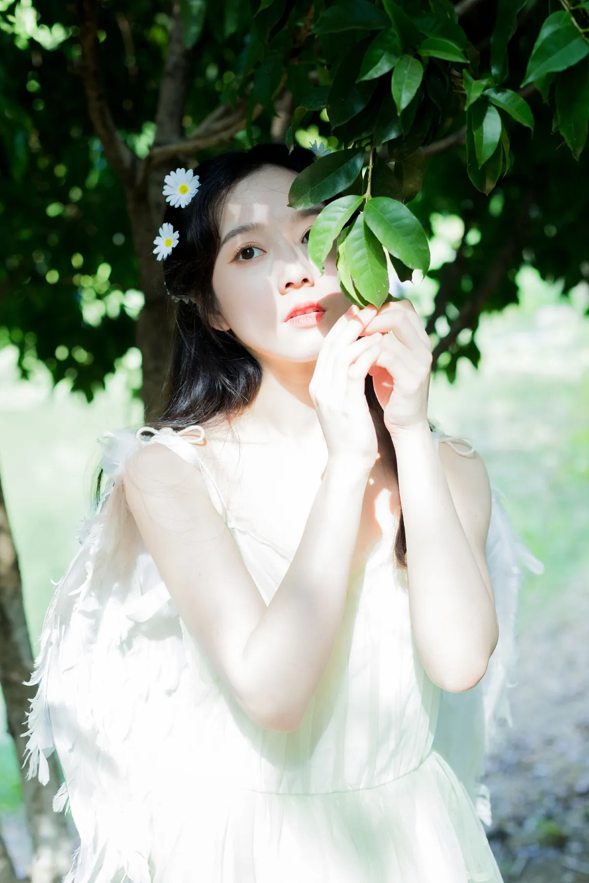 夏末的精灵2