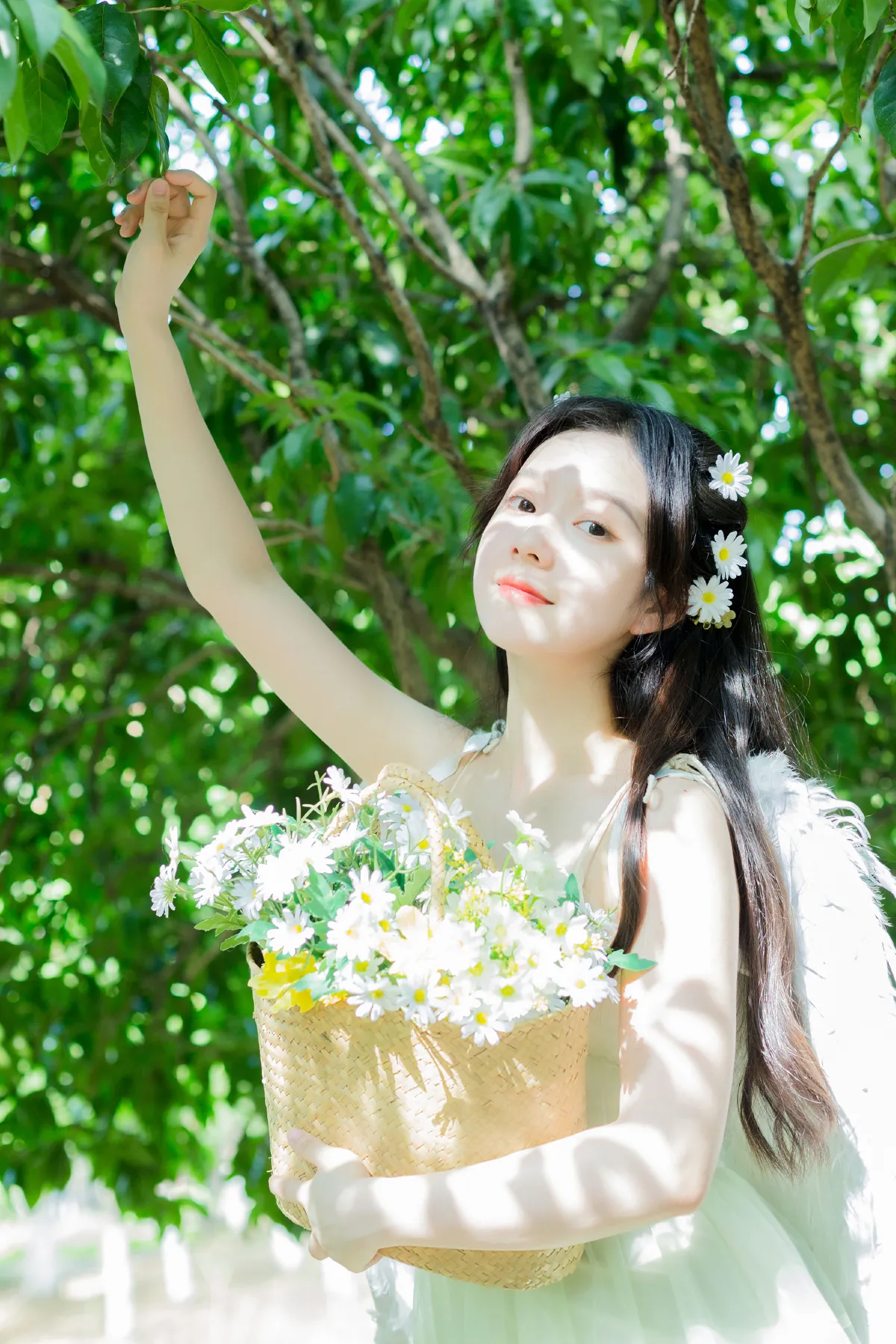 夏末的精灵
