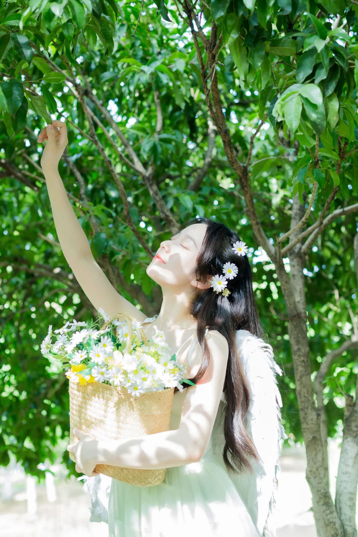 夏末的精灵