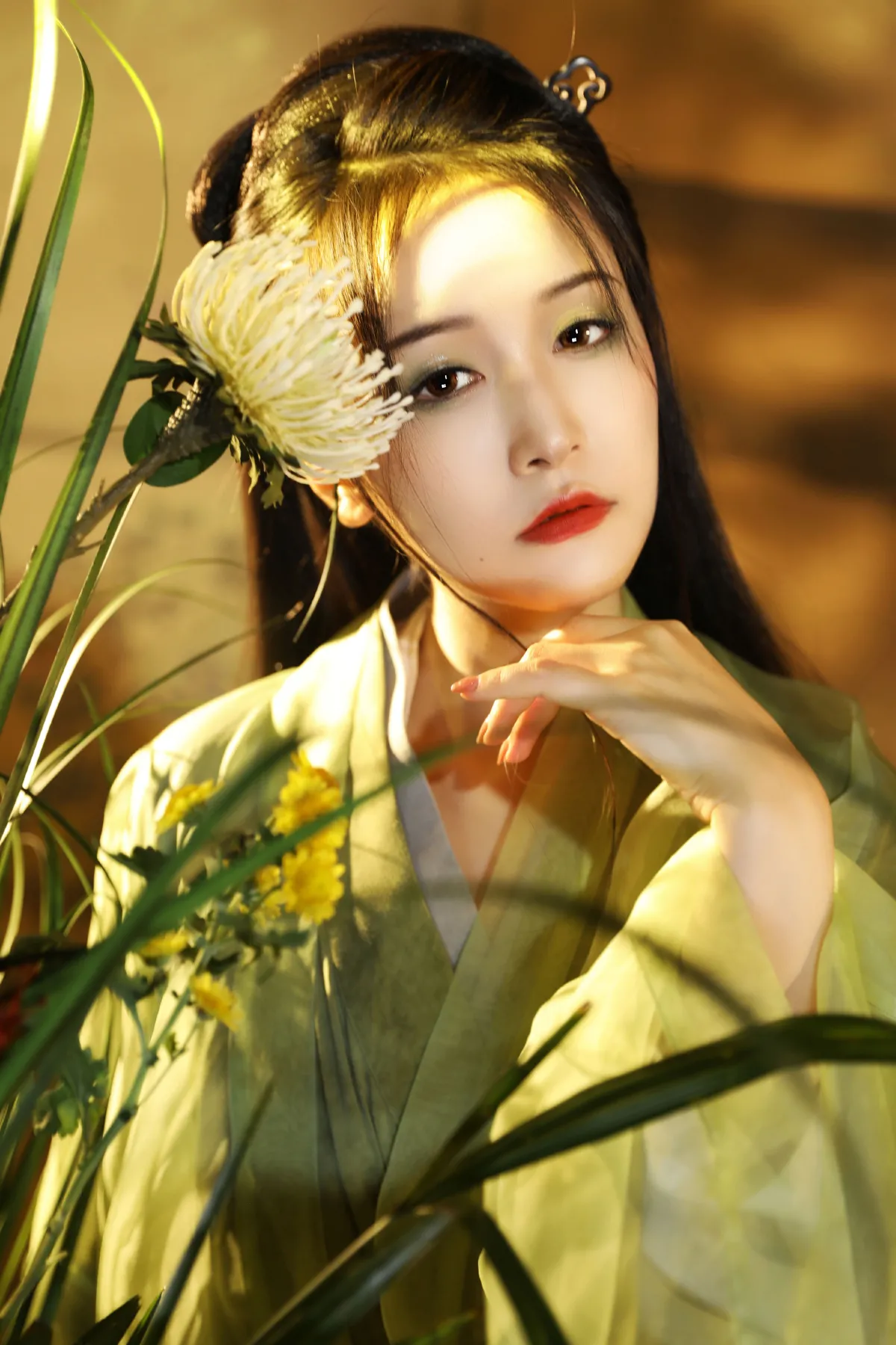 风草美人2