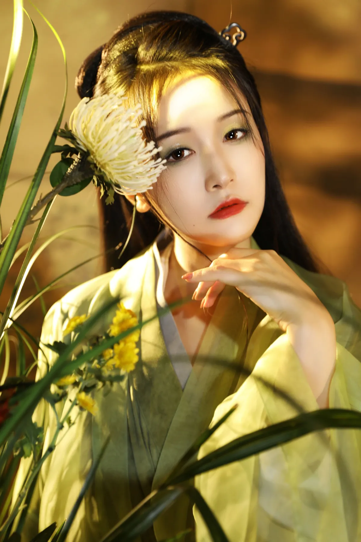 风草美人2