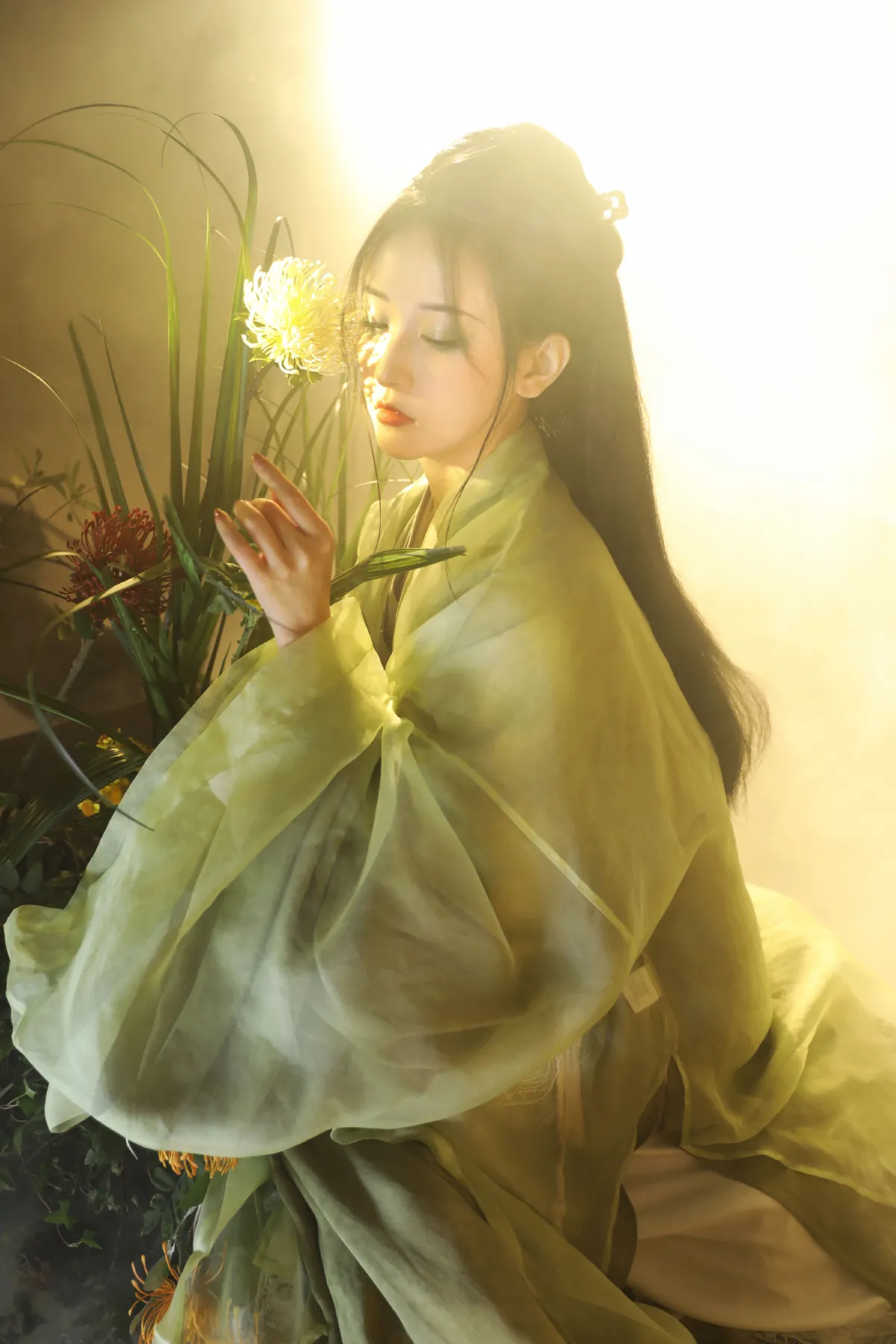 风草美人4