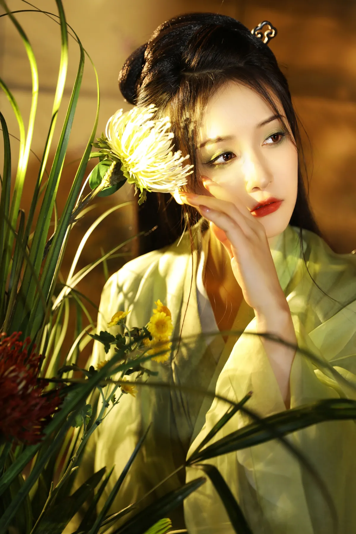 风草美人5