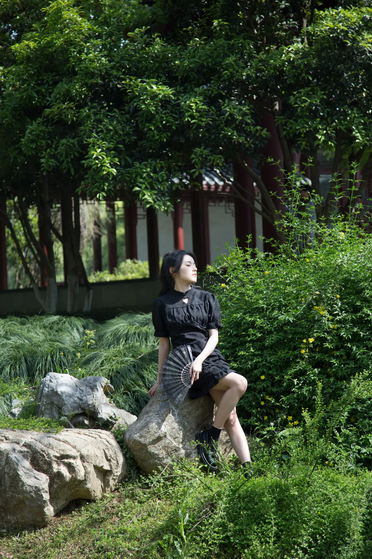 迎春1