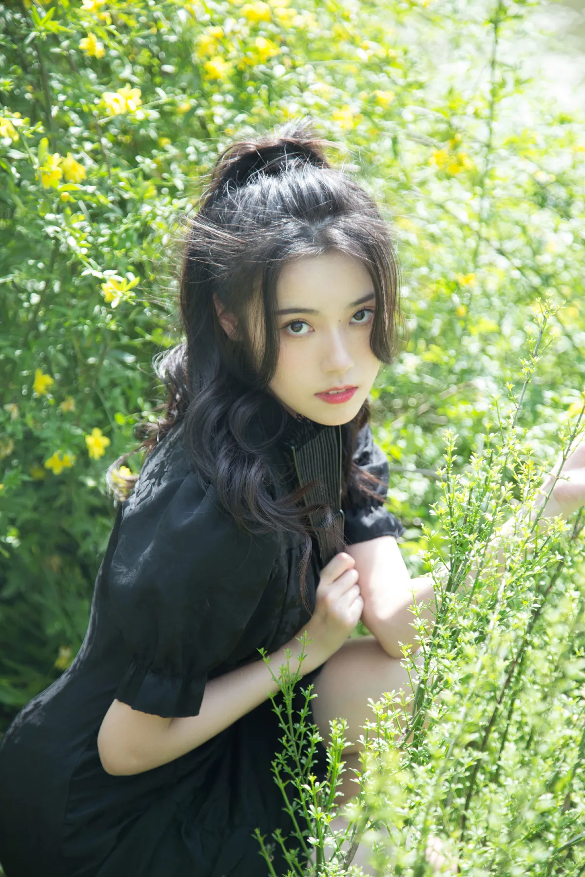 迎春