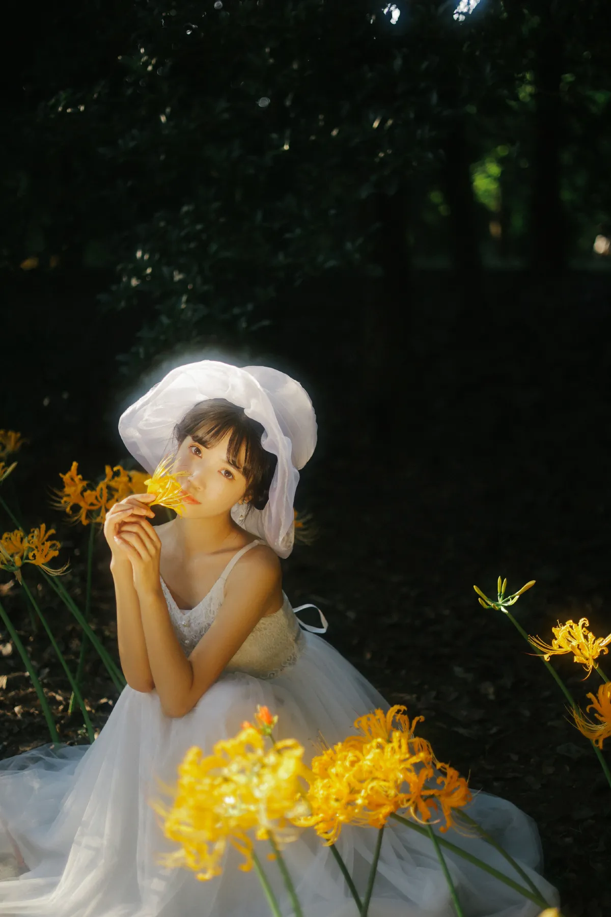 光芒1