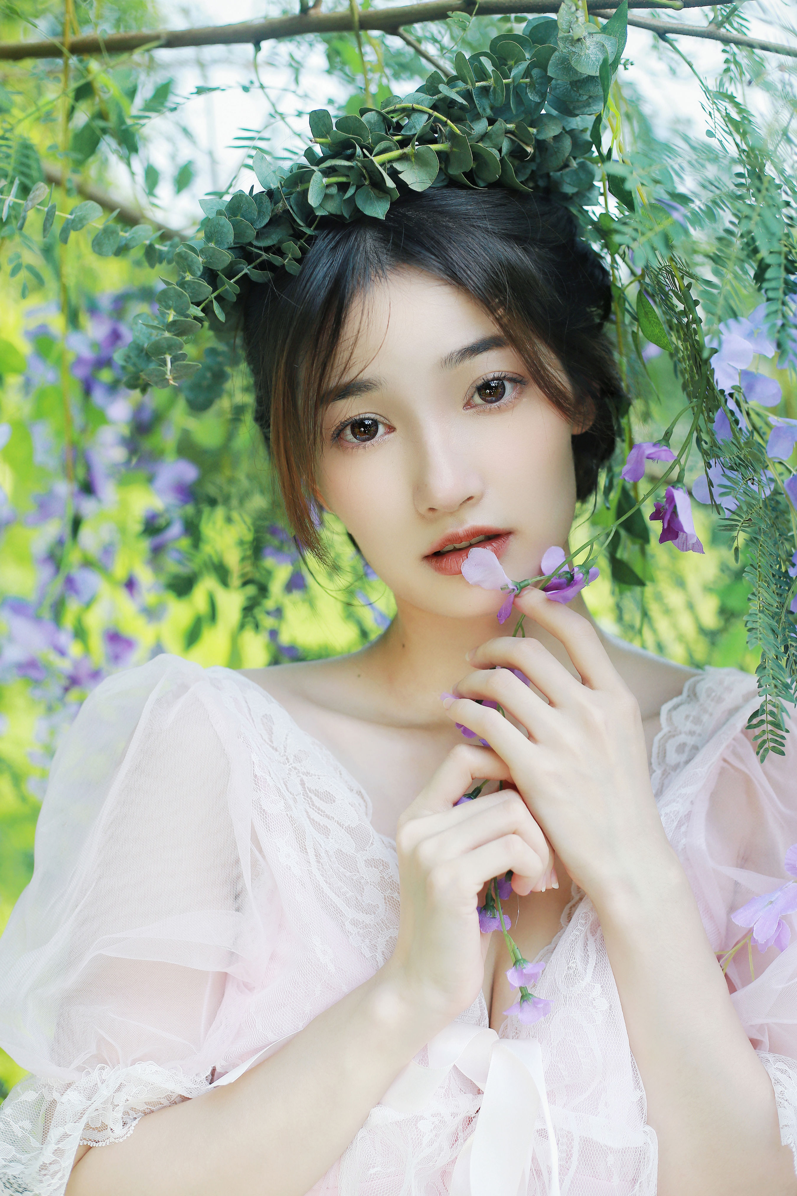 温柔紫藤