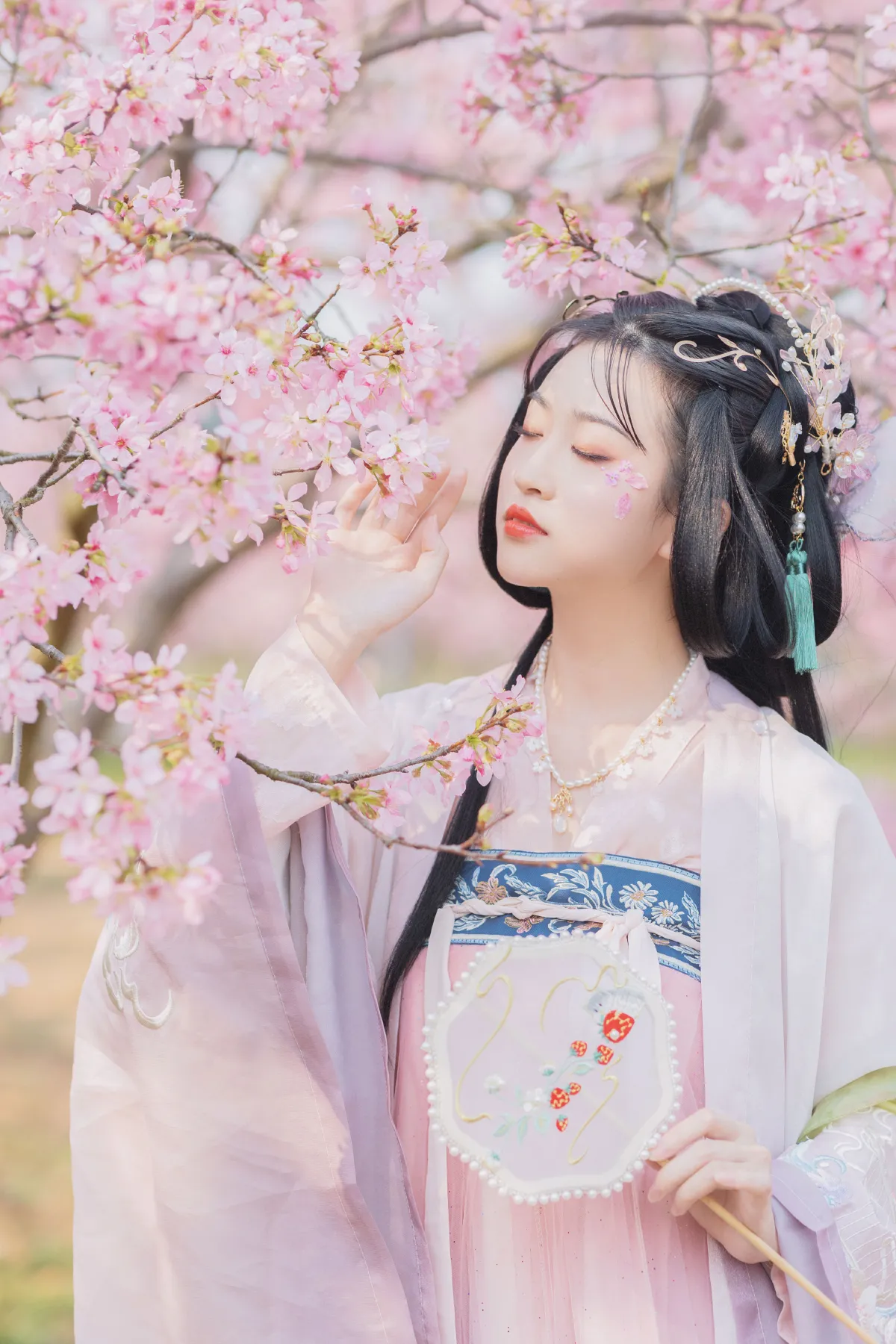 樱