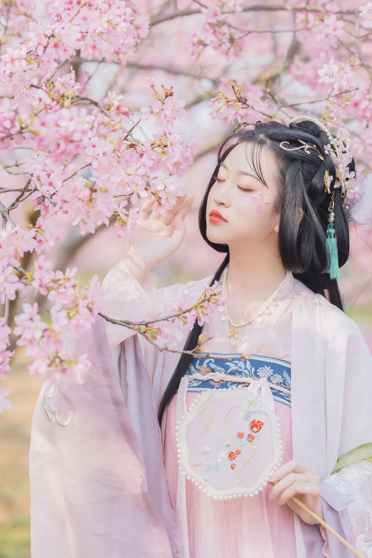 樱1