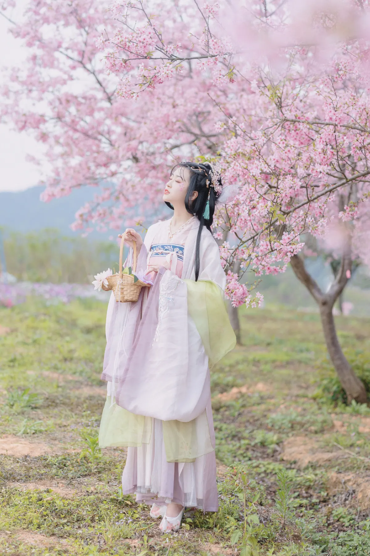 樱2