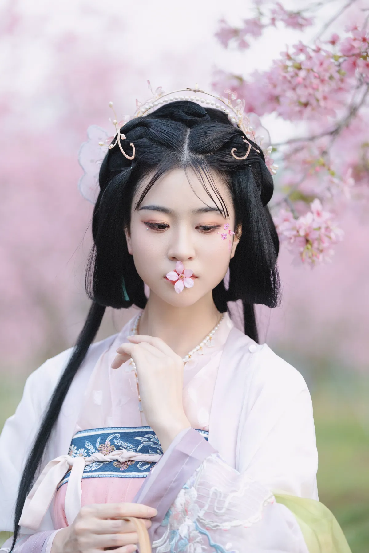 樱