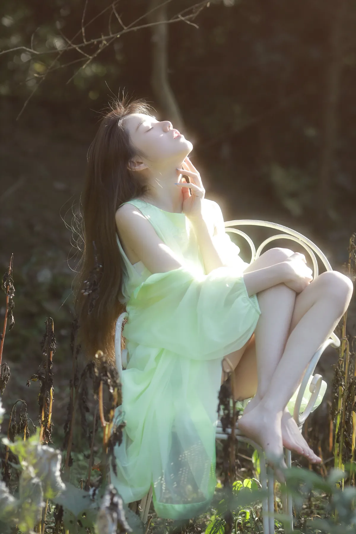 绿野仙踪1