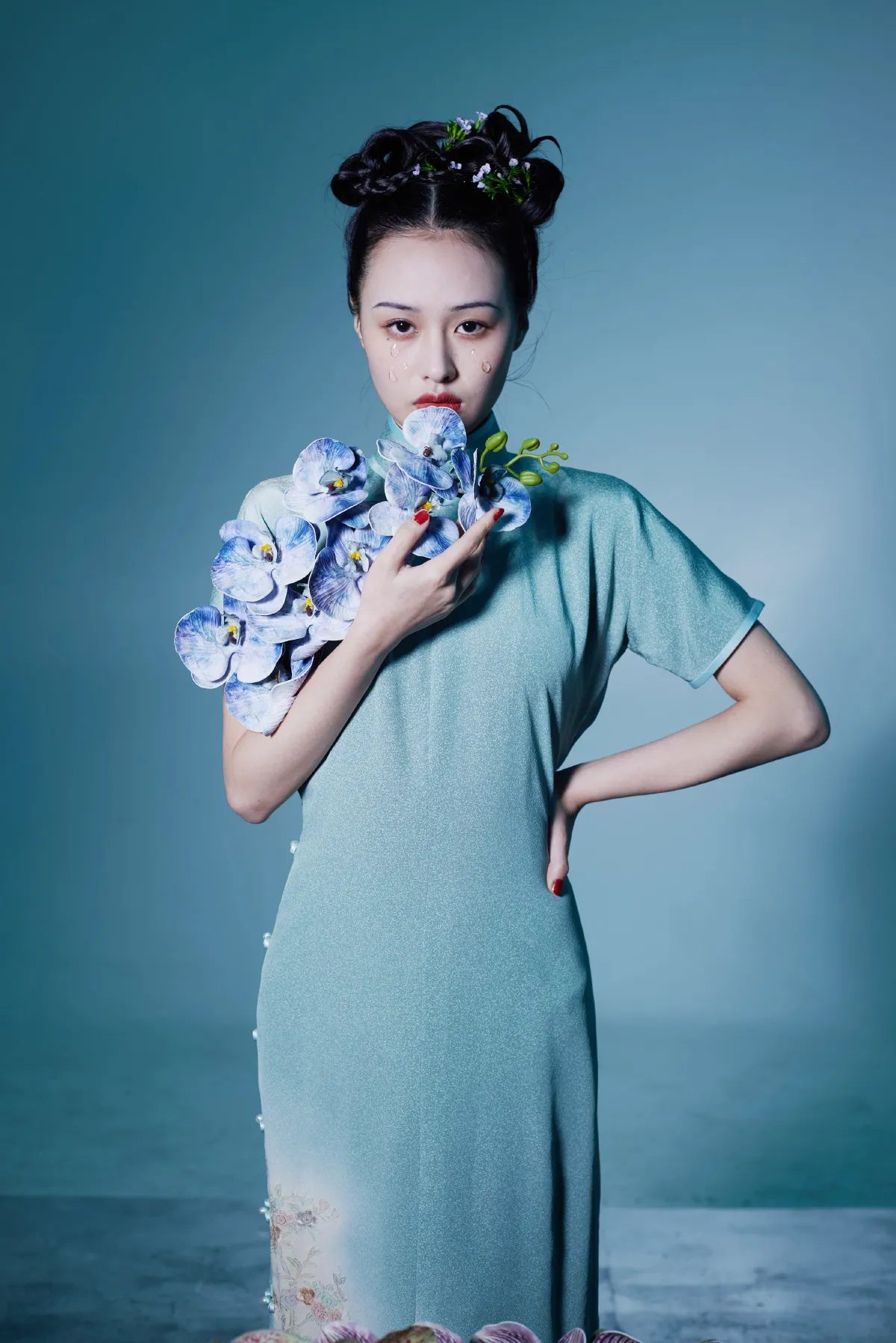 蝴蝶兰1