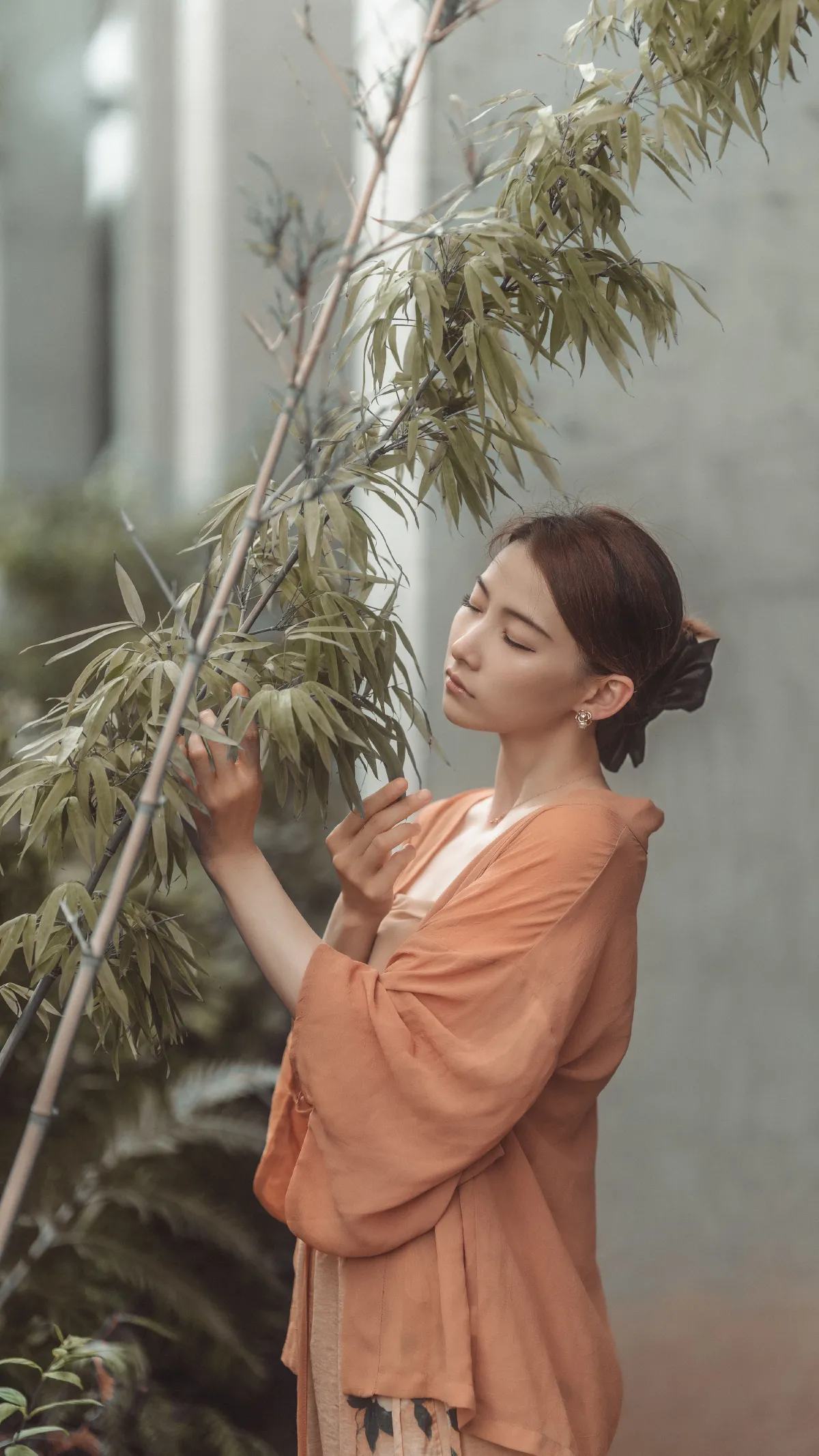 秋风渐至1