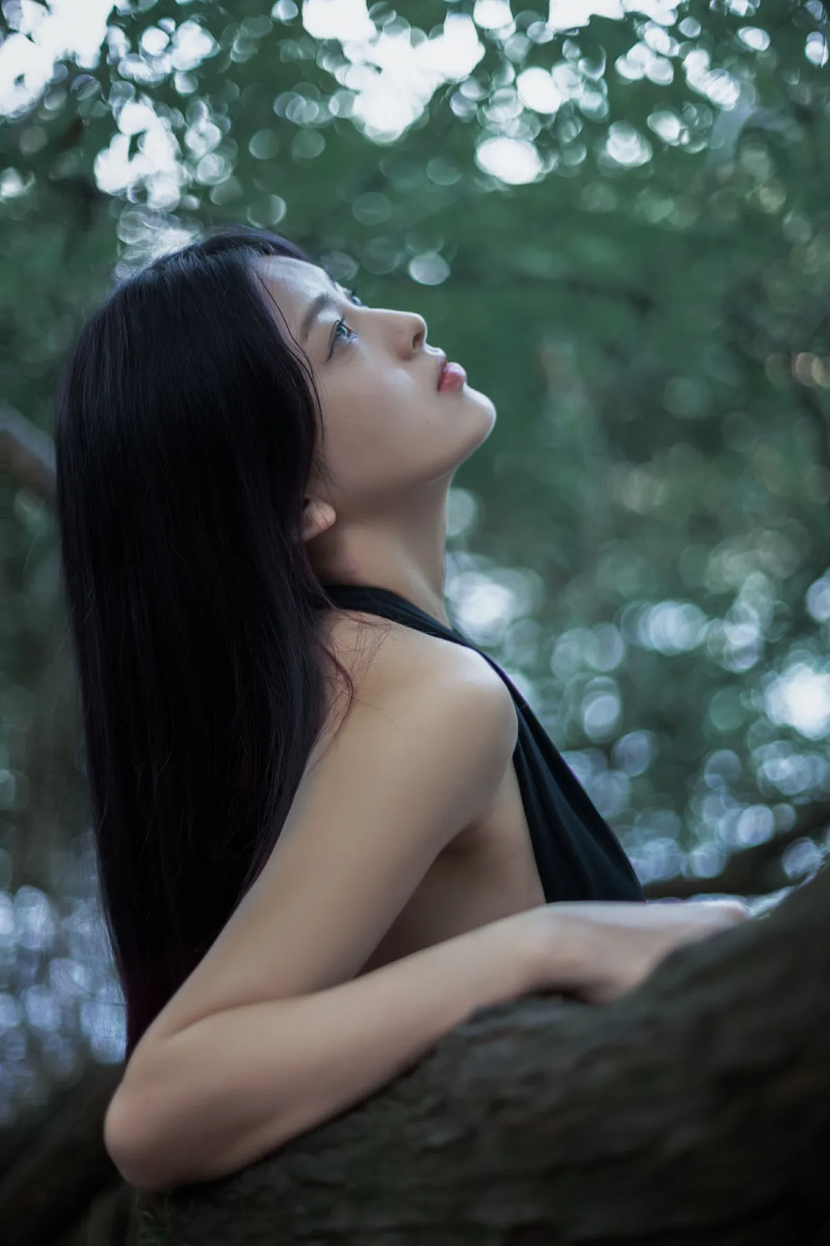安静的绿