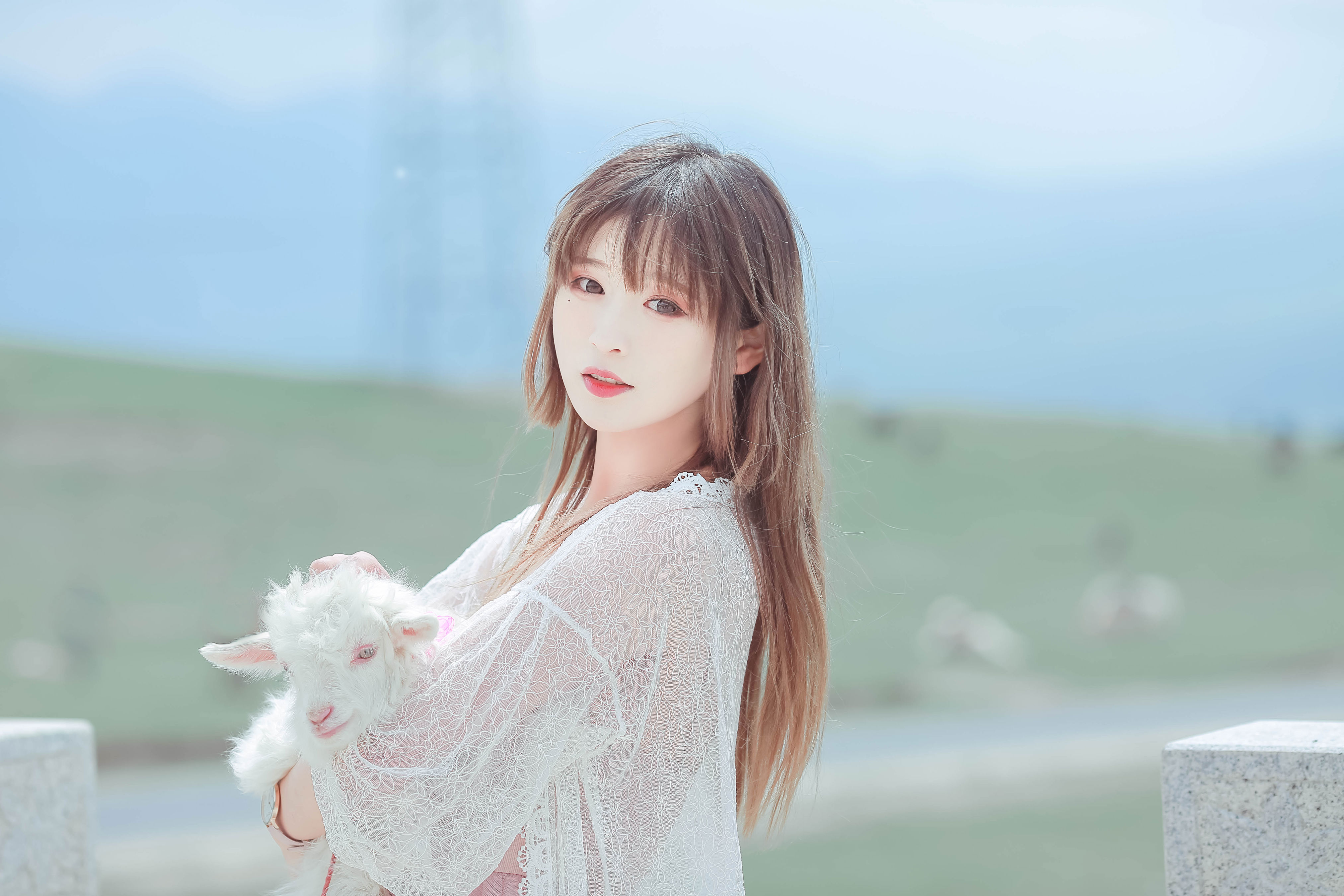 羔羊少女