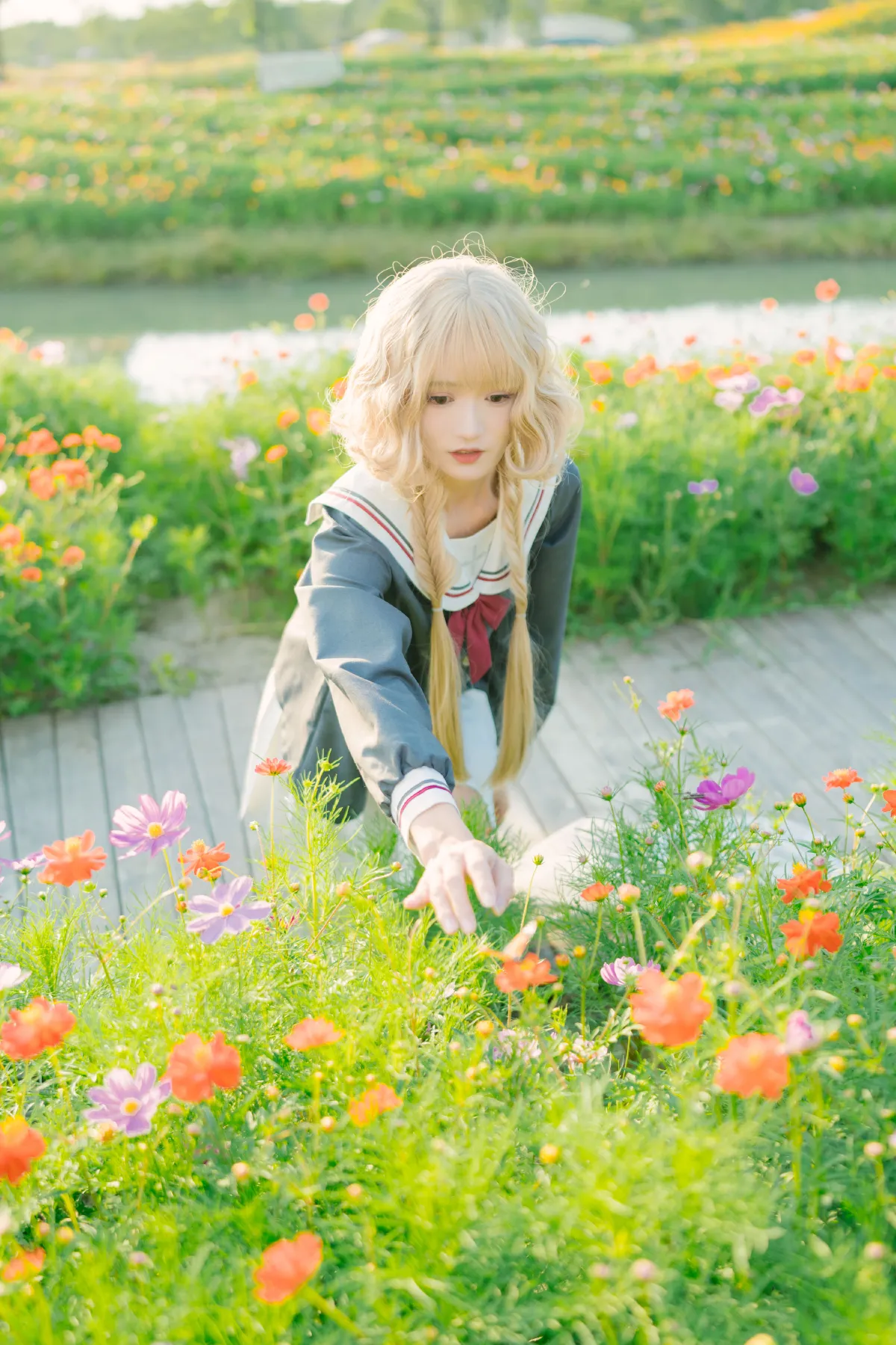 花开海上2