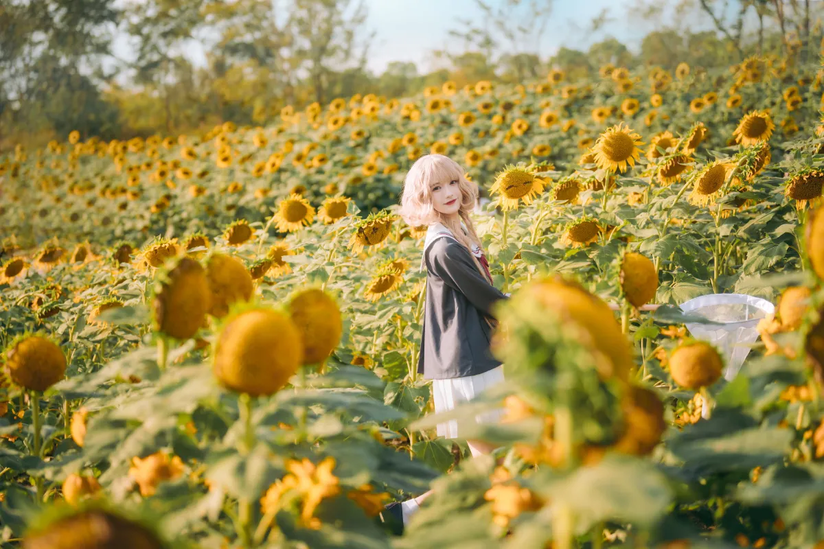 花开海上
